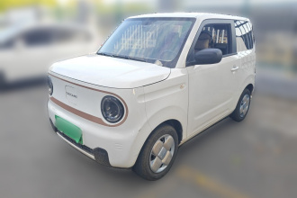 吉利银河 2024款 熊猫mini 200km 耐力熊