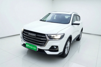 哈弗H6 2021款 国潮版 1.5T 自动冠军版