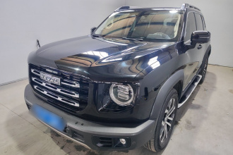 哈弗大狗 2021款 1.5T DCT两驱边牧版