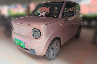 吉利银河 2023款 熊猫mini 200km 耐力熊