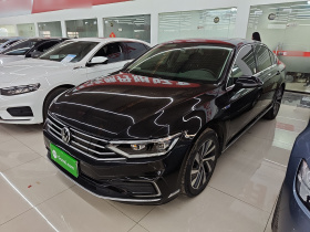 大众 迈腾GTE插电混动 2020款 GTE 豪华型