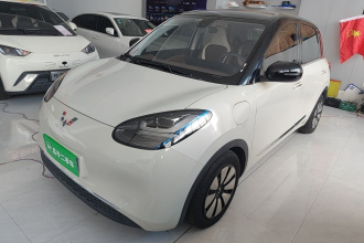 五菱汽车 五菱缤果 2023款 333km 灵犀互联款