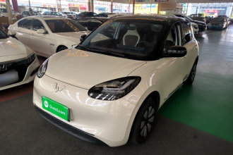 五菱汽车 五菱缤果 2024款 333km 悦享款