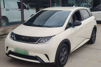 比亚迪 海豚 2024款 荣耀版 302km 活力版