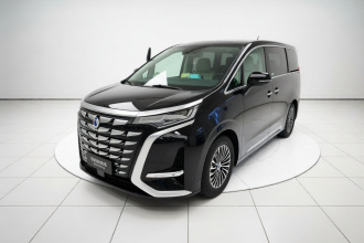 腾势D9 2024款 DM-i 1050 尊享型