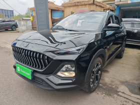 思皓X8 2021款 300T DCT领先智联版 7座