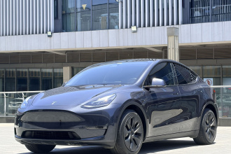 特斯拉 Model Y 2024款 长续航全轮驱动版