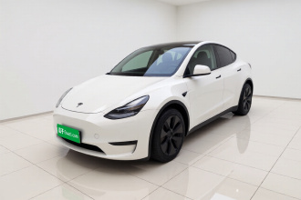 特斯拉 Model Y 2024款 后轮驱动版