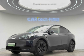 特斯拉 Model Y 2024款 后轮驱动版