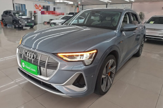 奥迪e-tron 2021款 50 quattro 臻选型