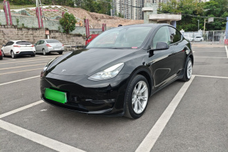 特斯拉 Model Y 2021款 标准续航后驱版