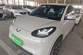 五菱汽车 五菱缤果 2024款 333km 悦享款