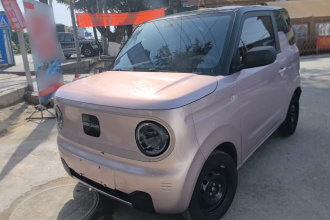 吉利银河 2023款 熊猫mini 200km 耐力熊