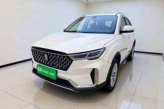 奔腾T33 2019款 1.6L 自动豪华型 国V