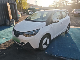 江铃集团新能源 易至EV2 2024款 201km 舒适型