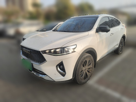 哈弗F7x 2019款 2.0T 两驱极智科技版