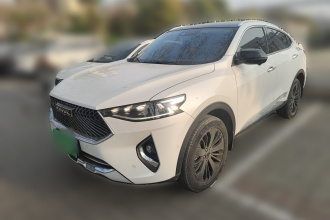 哈弗F7x 2019款 2.0T 两驱极智科技版