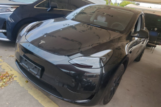 特斯拉 Model Y 2024款 后轮驱动版