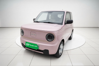 吉利银河 2023款 熊猫mini 200km 耐力熊