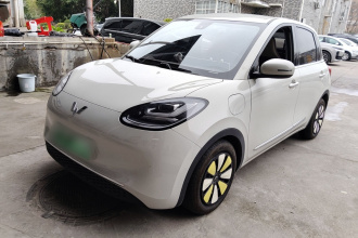 五菱汽车 五菱缤果 2023款 333km 灵犀互联款