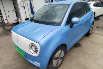 欧拉黑猫 2022款 301km 萌宠版 磷酸铁锂