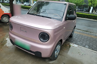 吉利银河 2023款 熊猫mini 200km 耐力熊