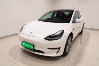 特斯拉 Model 3 2019款 标准续航后驱升级版