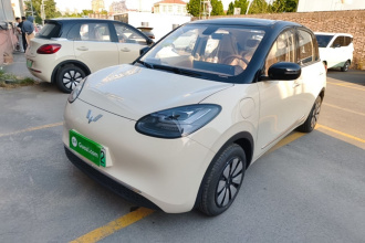 五菱汽车 五菱缤果 2025款 333km 悦享款