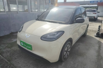 五菱汽车 五菱缤果 2025款 333km 悦享款