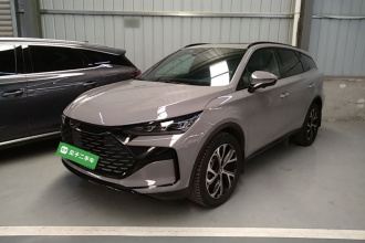 比亚迪 唐新能源 2025款 DM-i 115KM 尊荣型