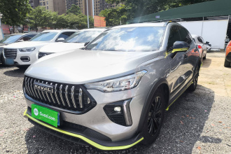 哈弗赤兔 2021款 激擎版 1.5T 黄金兔