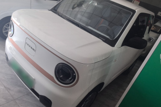 吉利银河 2024款 熊猫mini 200km 耐力熊