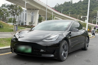 特斯拉 Model 3 2020款 标准续航后驱升级版