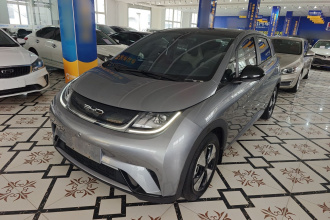 比亚迪 海豚 2023款 420km 时尚版