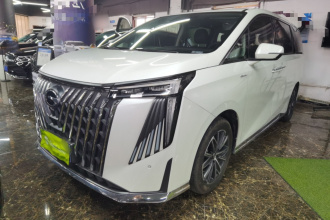 广汽传祺 传祺M8 2024款 大师系列 400T 尊贵版