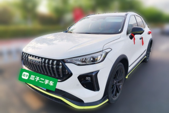 哈弗赤兔 2021款 激擎版 1.5T 铂金兔