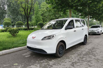 五菱汽车 五菱宏光新能源 2024款 纯电版 300KM 标准型