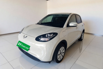 五菱汽车 五菱缤果 2024款 203km 轻享款
