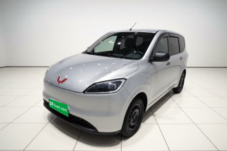 五菱汽车 五菱宏光新能源 2024款 纯电版 300KM 标准型