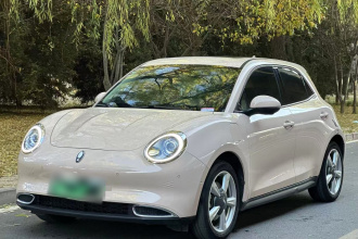 欧拉好猫 2021款 400km标准续航 雅典娜版 磷酸铁锂