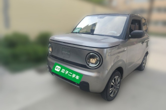 吉利银河 2023款 熊猫mini 200km 耐力熊