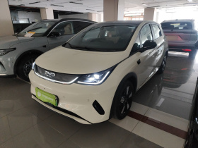 比亚迪 海豚 2025款 智驾版 410km 时尚版