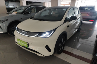 比亚迪 海豚 2025款 智驾版 410km 时尚版