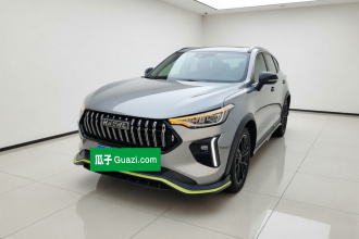 哈弗赤兔 2021款 激擎版 1.5T 铂金兔
