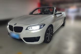 宝马2系(进口) 2019款 225i 敞篷轿跑车 运动设计套装