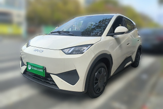 比亚迪 海鸥 2025款 智驾版 305km 活力版