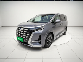 腾势D9 2022款 DM-i 1040 尊贵型