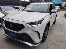 丰田 皇冠陆放 2021款  2.5L HEV两驱精英版