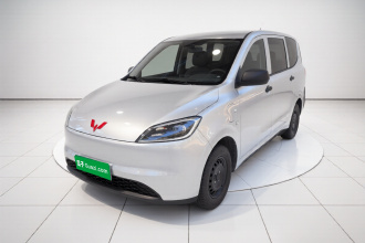 五菱汽车 五菱宏光新能源 2024款 纯电版 300KM 实用型
