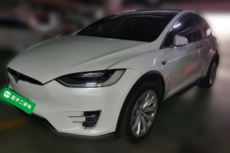 特斯拉 Model X 2019款 长续航版